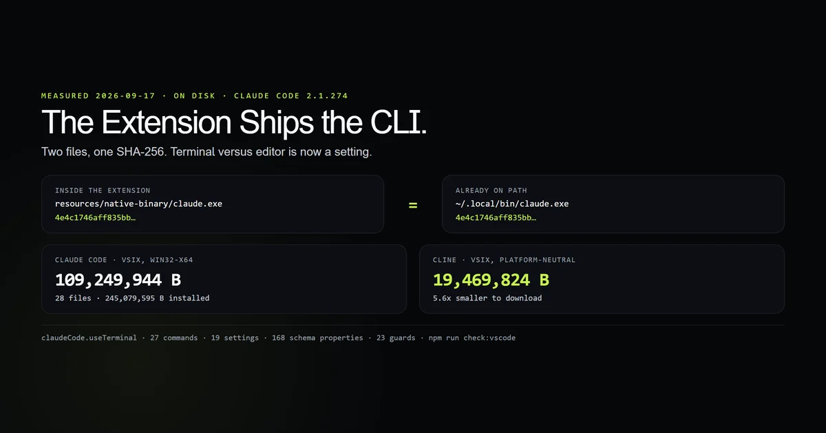 Two VS Code extension install sizes beside matching SHA-256 hashes for a bundled and a PATH binary